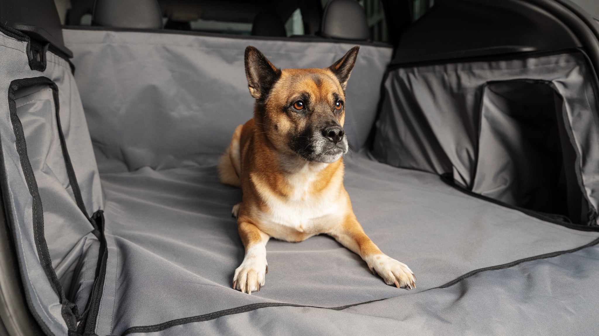 Trunk protection for dogs, everyday life and load for the Tesla Model Y